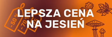 Jesienna wyprzedaż